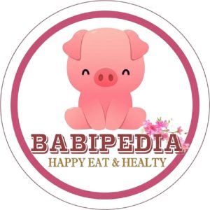 Babipedia Logo